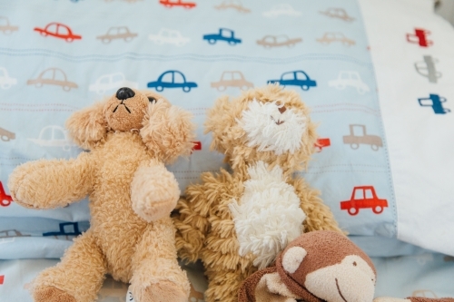 Three children's teddy bears, light brown on light blue bedding with red, blue, white & grey cars