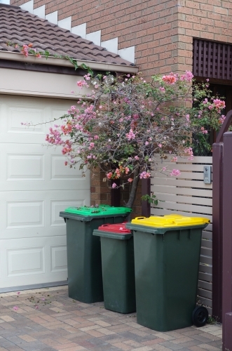 Three coloured garbage bins in a driveway