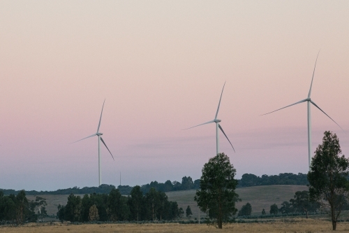 Three green energy wind turbines in the countryside at dusk