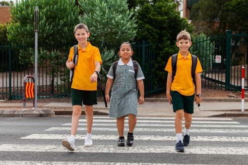 Three public school kids walking to school - crossing the road at a pedestrian crossing - Australian Stock Image
