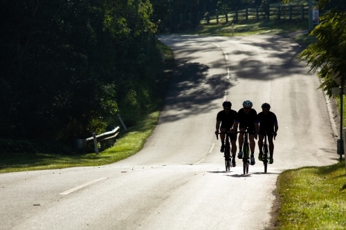 Three silhouetted male cyclists riding along an undulating road in the suburban roads of Brookfield. - Australian Stock Image