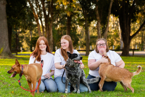 Three sisters and with their Australian cattle dog pets sitting together at park - Australian Stock Image