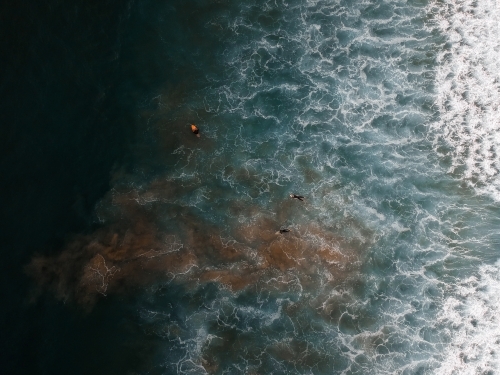 Three surfers paddling out in a rip at the beach - Australian Stock Image