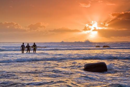 Three surfers sum up the waves at sunrise. - Australian Stock Image