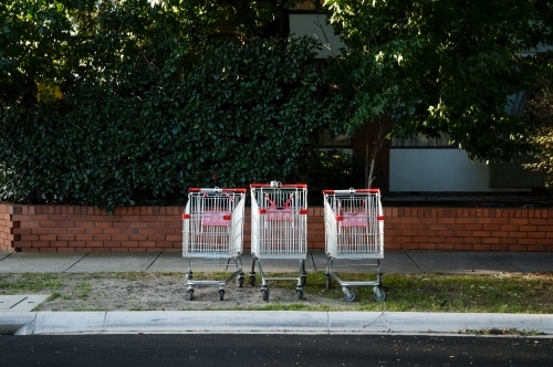 Three trolleys lined up in a row on the nature strip - Australian Stock Image