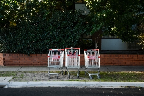 Three trolleys lined up in a row on the nature strip
