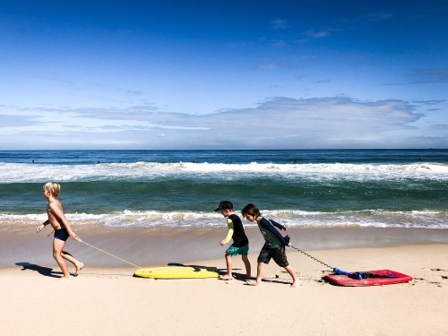 Three young boys dragging boogie boards along shoreline of beach - Australian Stock Image