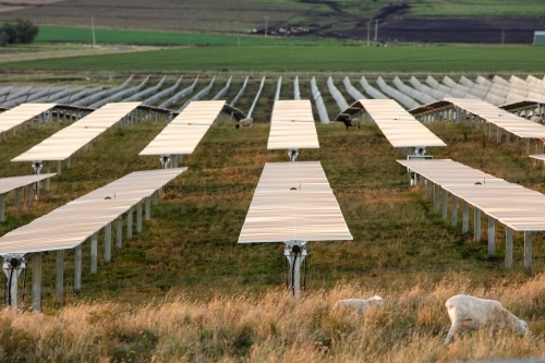 Tilting solar farm panels outside of Warwick at sunset
