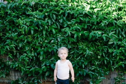 Toddler girl standing still framed by backyard passionfruit vine