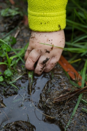 Toddler's hand in the wet mud - Australian Stock Image