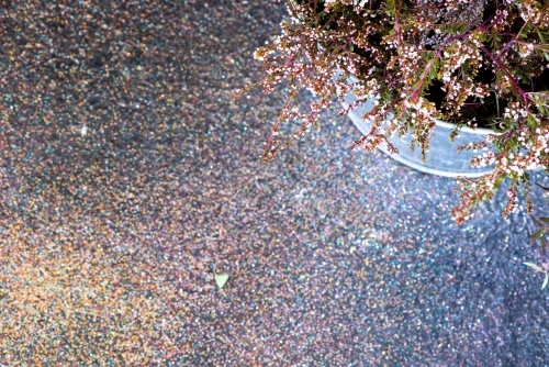 Top down partial view of  small flowers in a metal bucket and a glitter covered floor - Australian Stock Image
