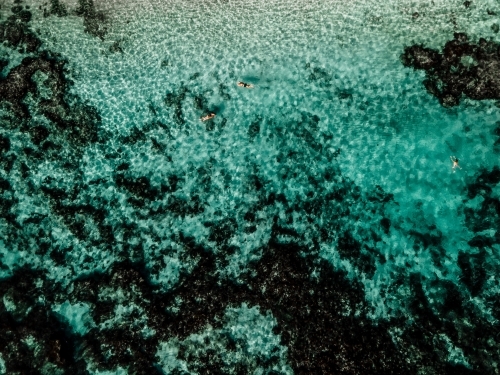 Top down view of limestone bay at Metals Pool, North Beach - Australian Stock Image