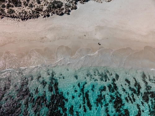top shot of a white sand beach with bushes and seaweeds on a sunny day - Australian Stock Image