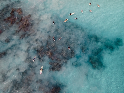 top shot of people surfing in the ocean - Australian Stock Image