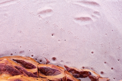 Top view shot of white sand with little crab holes and bird footprints - Australian Stock Image