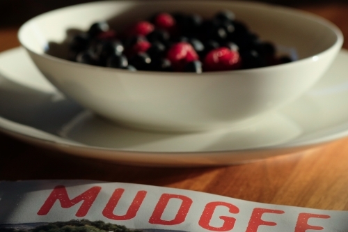 Tourism Brochure of Mudgee District with Berries in a bowl - Australian Stock Image