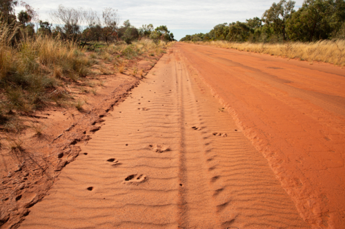 Tracks in red sand, on the edge of a red dirt road - Australian Stock Image