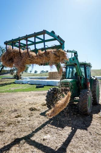 Tractor loading the feeder - Australian Stock Image
