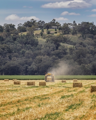 Tractor setting out hay bales in harvested field with tree covered hill & sky in the background - Australian Stock Image