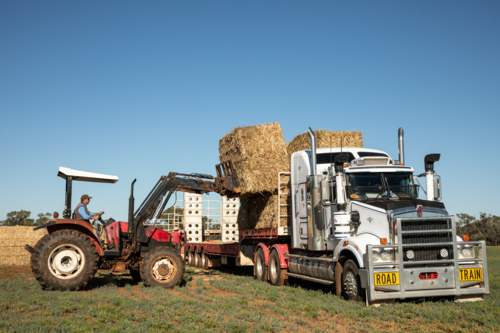 Tractor unloading large bales of hay from a truck on farm - Australian Stock Image