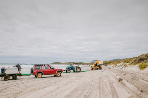 Tractors, trailers and 4 wheel drives on beach, commercial Australian salmon fishing season