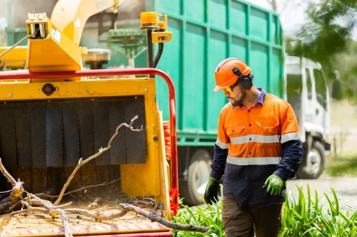 Tradie feeding branches into wood chipping machine - Australian Stock Image