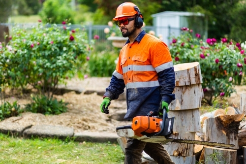 Tradie workman with chainsaw in garden