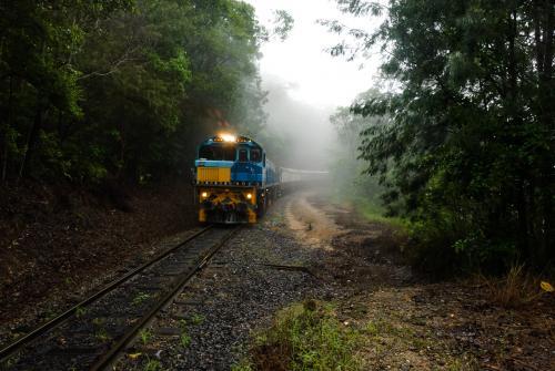 Train coming out of the mist in forested area