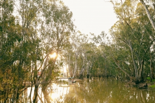 tranquil golden afternoon along the Gunbower Creek in Koondrook Victoria Australia - Australian Stock Image