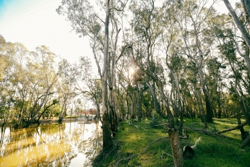tranquil golden afternoon along the Gunbower Creek in Koondrook Victoria Australia - Australian Stock Image