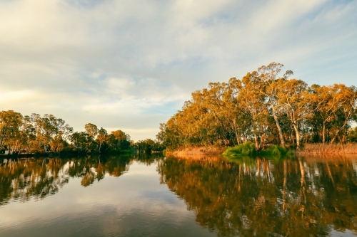 Tranquil golden afternoon along the Gunbower Creek in Koondrook Victoria Australia - Australian Stock Image