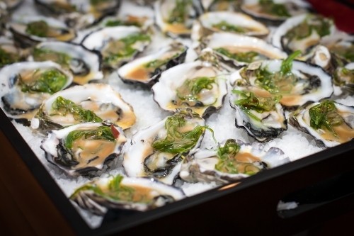 Tray of oysters with garnish - Australian Stock Image