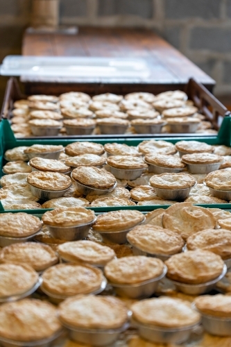 trays of pies on bench - Australian Stock Image