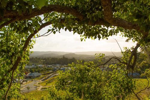 Tree branches and leaves framing view over country town - Australian Stock Image