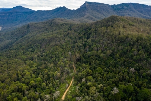 Tree-covered mountain landscape - Australian Stock Image