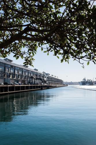 Tree framing buildings and water along finger Wharf, Woolloomooloo