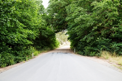 Tree lined country road - Australian Stock Image