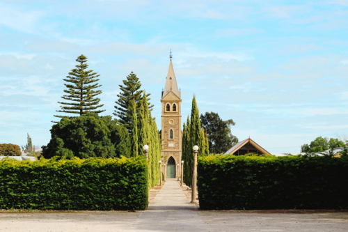 Tree‑lined path leading to a historic church under a bright, open sky - Australian Stock Image