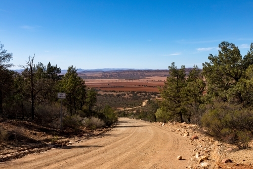 tree lined road with plains in background - Australian Stock Image