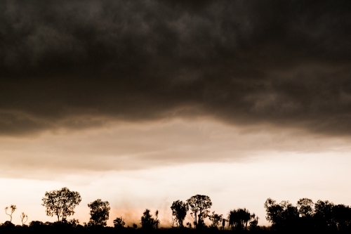 Tree silhouettes under smoky overcast sky - Australian Stock Image