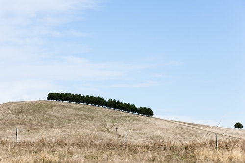 Treeline on a hill with wind turbine blade protruding - Australian Stock Image