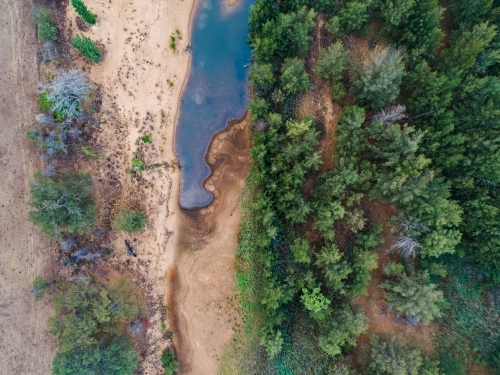 Trees beside pool of stagnant water of creek - Australian Stock Image