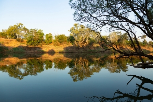 trees by the river with its shadow reflecting on it. - Australian Stock Image