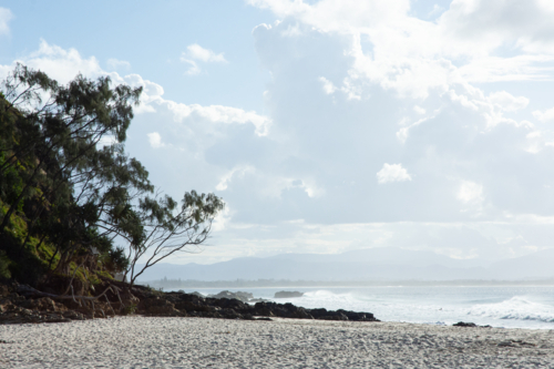 Trees on the beach at Byron Bay - Australian Stock Image