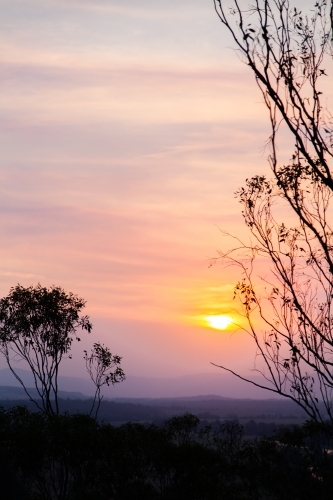 Trees silhouetted against smoke filled sunset sky - Australian Stock Image