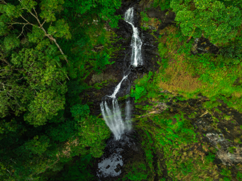 Tropical forest and waterfall - Australian Stock Image