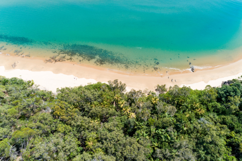 Tropical forest meets sandy beach and ocean - Australian Stock Image