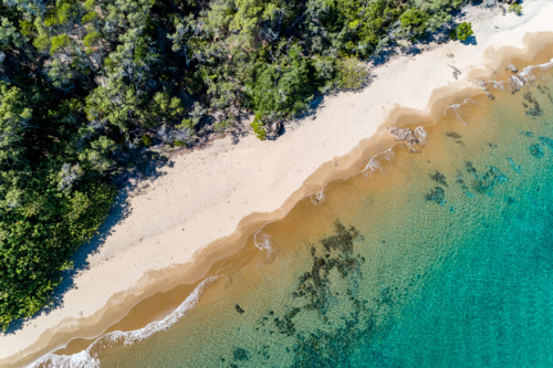 Tropical forest meets sandy beach and ocean - Australian Stock Image