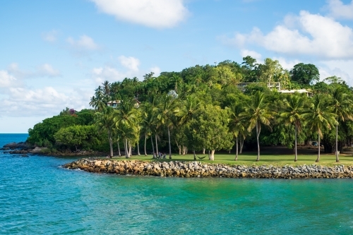 Tropical trees at the Port Douglas headland - Australian Stock Image