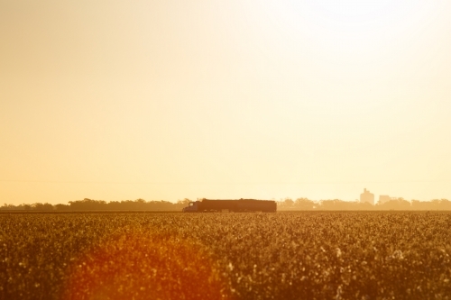 Truck travelling on sunset through rural Australia - Australian Stock Image